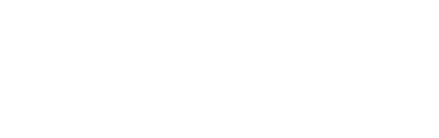 보험계약확인